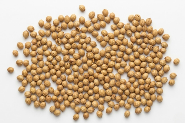 Coriander Seeds